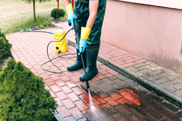 Best Animal Enclosure Cleaning  in Northwest Harbor, NY